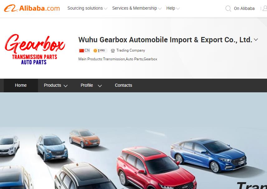 Website opening Website opening